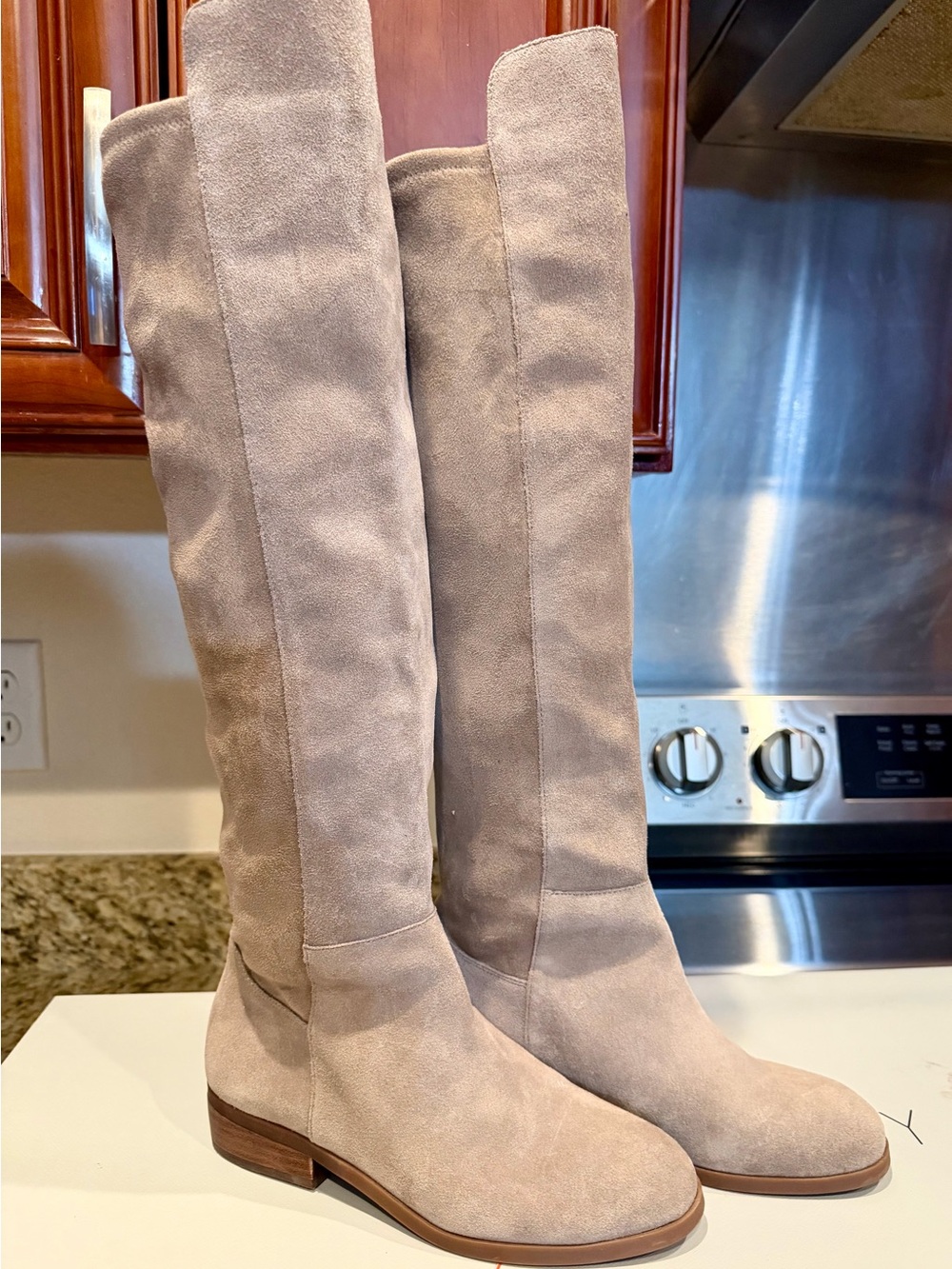 Sole Society Tall Suede Knee-High Boots in Taupe/Mushroom Sz: 6